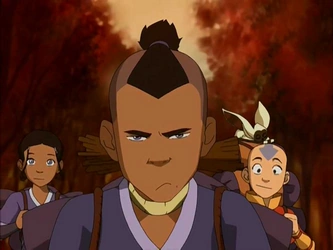 File:Annoyed Sokka.png