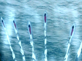 File:Ice torpedoes.png