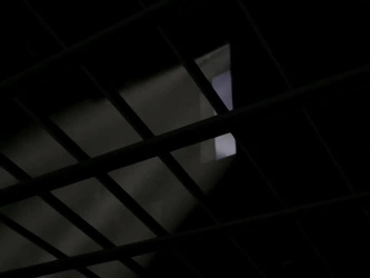 File:Prison bars.png