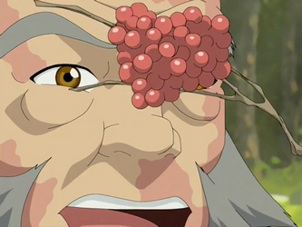 File:Maka'ole berries.png