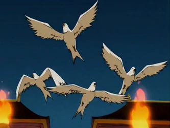 File:Doves.png