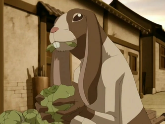 File:Rabaroo eating cabbage.png