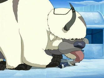 File:Appa licks Sokka.png