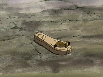 File:Iroh's sandal.png