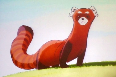 File:Fire ferret.png