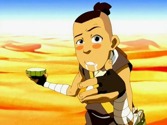 File:Sokka hallucinates.png