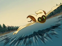 A winged lemur with white fur flies across the surface of a river, lines on the water indicating the speed of its flight. Its green eyes are looking behind, as though it is being chased.