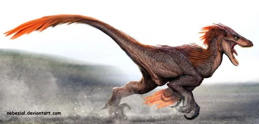 File:Velociraptor.jpg