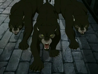 File:Pygmy pumas.png