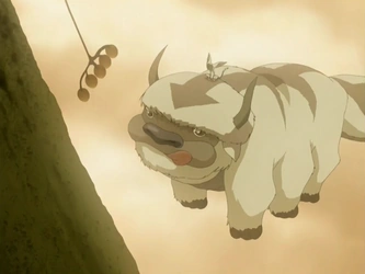 File:Appa and Momo.png