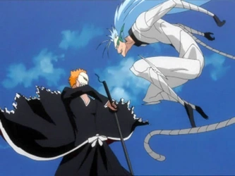 File:IchigovsGrimmjow2K.png