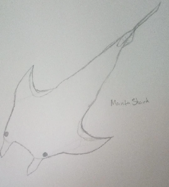 File:Mantashark.jpg