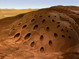 File:Buzzard wasp hive.png