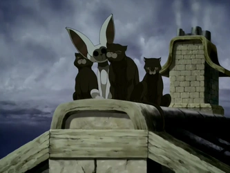 File:Momo and pygmy pumas.png