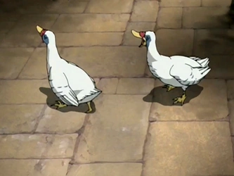 File:Turkey ducks.png